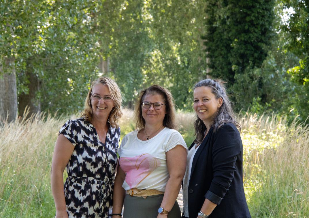 drie proces coördinatoren